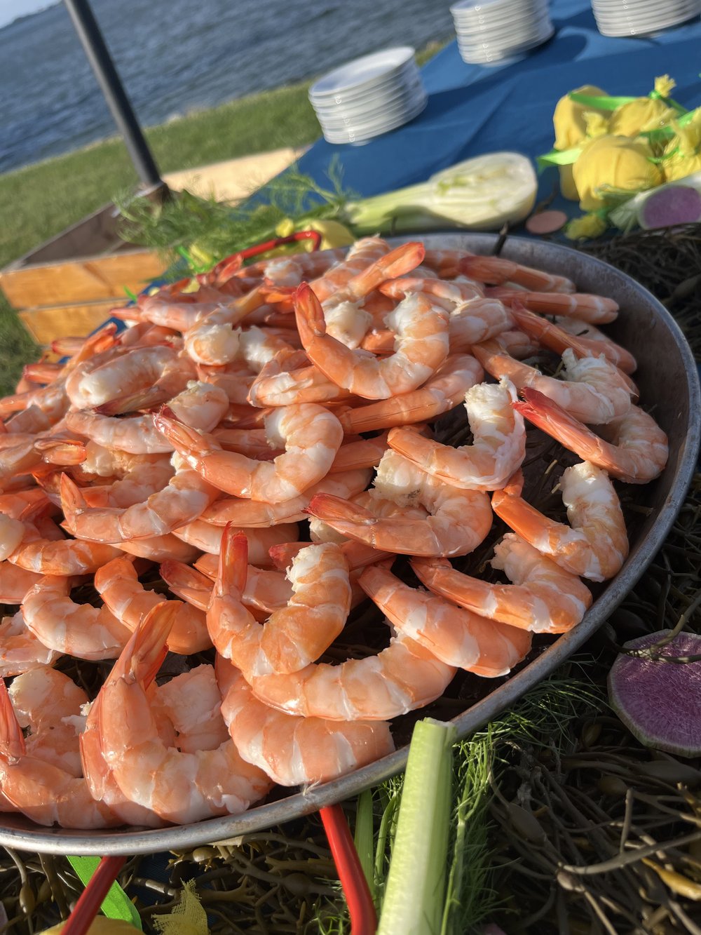 Texas Gold Jumbo Shrimp